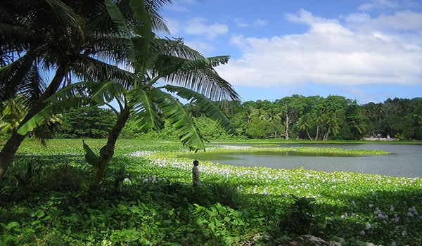 Nauru – the narrative