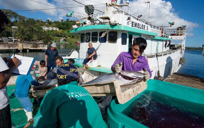 Tuna fishing in the Pacific under threat