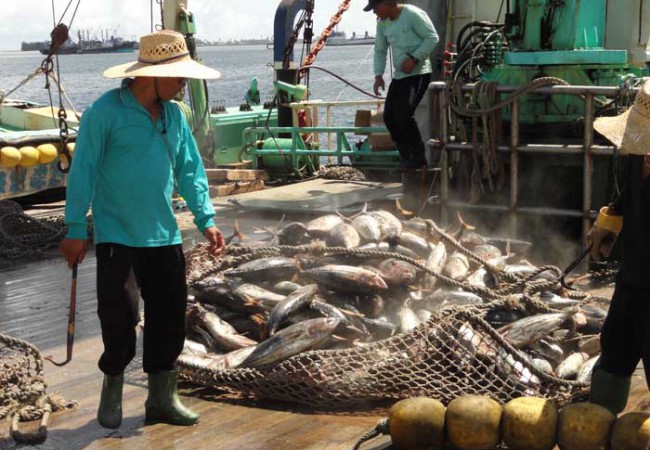 Greed trumps conservation in the Pacific